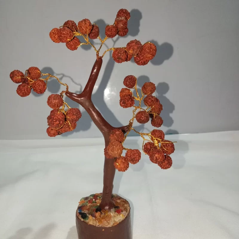 Rudraksha Tree